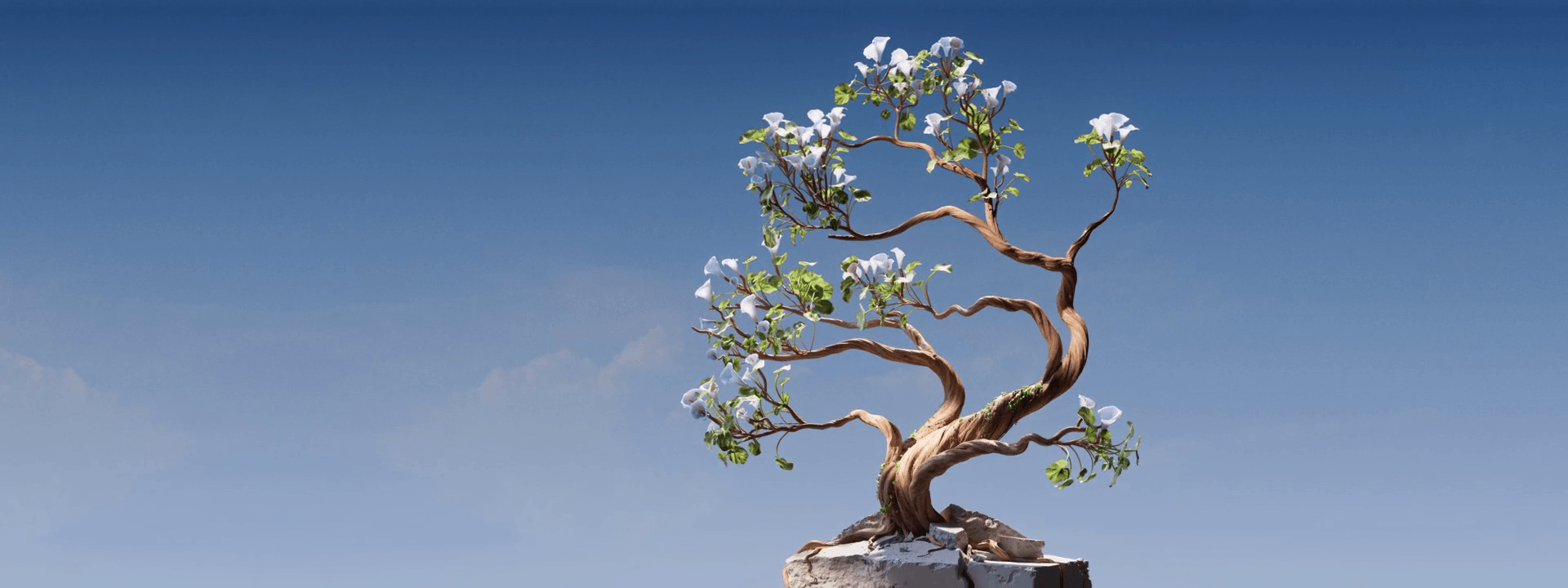 A flowering sacura tree breaking through hard dry soil symbolizing timeless beauty, resilience and longevity.